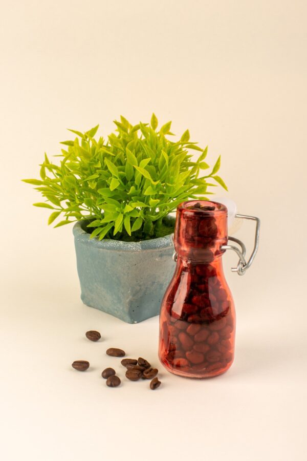 Medical plants 2