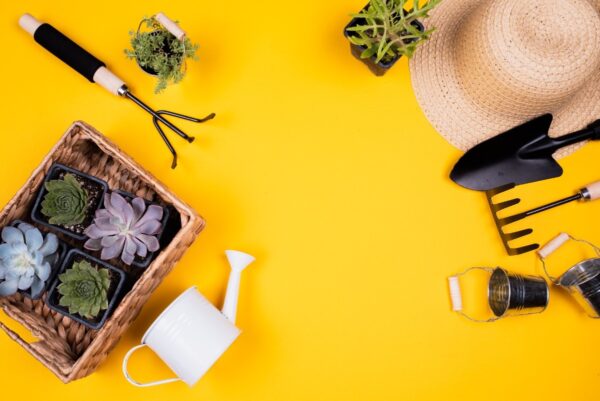 Gardening Essentials 2