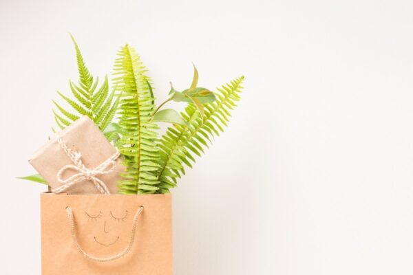 Plants Gift 2