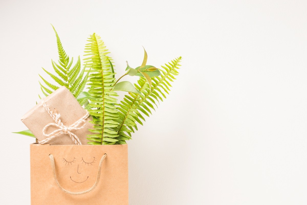 plant-gift-1