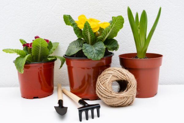 Plastic pot 2